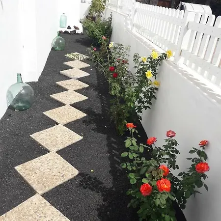 Roses *